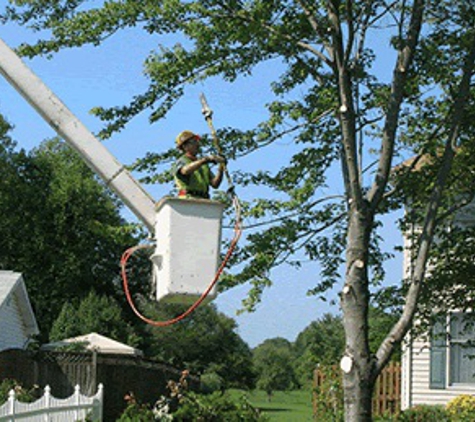 Olsen Tree Service, LLC - Hortonville, WI
