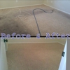Monster Carpet And Uhpolstery Cleaning gallery