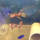 Tropical Fish International - Aquariums & Aquarium Supplies