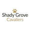 Shady Grove Cavaliers gallery