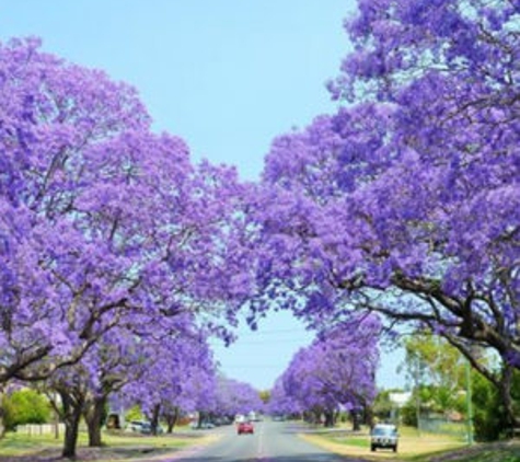 Valuers Australia Pty Ltd - Lismore, NSW