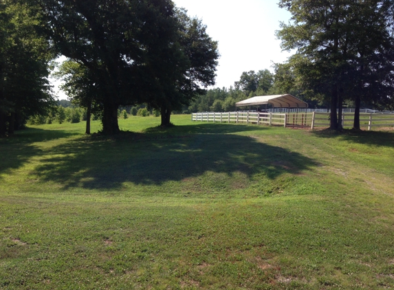 Seacrest Show Stables - Mooresboro, NC. Paddock