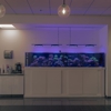 Fiesta Kia gallery