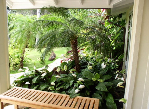 Tropical Tree Services