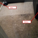 Whole House Carpet Cleaning - Carpet & Rug Cleaners-Water Extraction