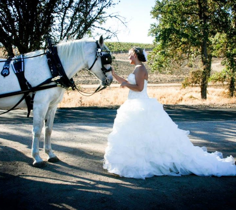 White Horse Carriage Co - Paso Robles, CA