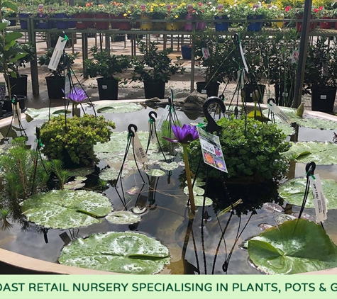 Rosemount Nursery - Rosemount, QLD. Sunshine Coast Retail Nursery Specialising In Plants, Pots & Garden Care