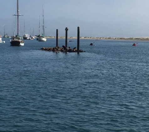 Sub Sea Tours and Kayaks - Morro Bay, CA