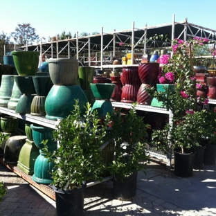 Green Landscape Nursery - Santa Clarita, CA