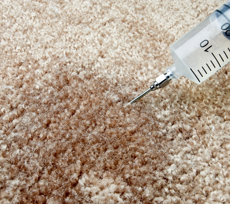 Kiwi Carpet Cleaning Services - Fort Worth, TX