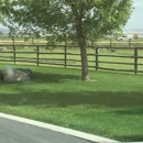 Lewis Fence and Deck - Vinyl Fences