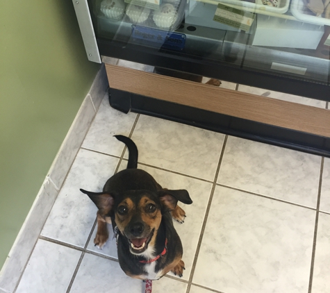 Pupcake Grooming & Dog Bakery - Caldwell, NJ. Now that's a happy puppy!