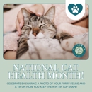 Millbrae Pet Hospital - Veterinarians