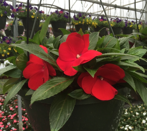 Grawtown Greenhouse LLC - Jackson, NJ