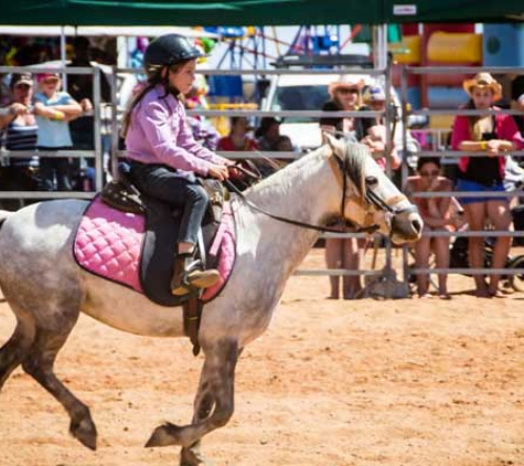 Meekatharra Shire Council - Chief Executive Officer