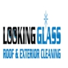 Looking Glass Cleaning gallery