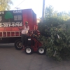 Jose's Tree Service gallery