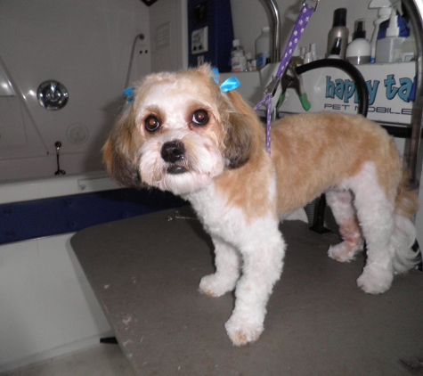 Happy Tails Pet Mobile Grooming - Pittsburg, CA