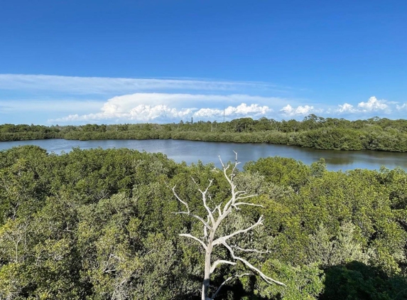 Wall Springs Park - Palm Harbor, FL