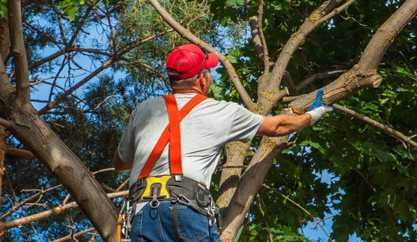 J & L Tree Service