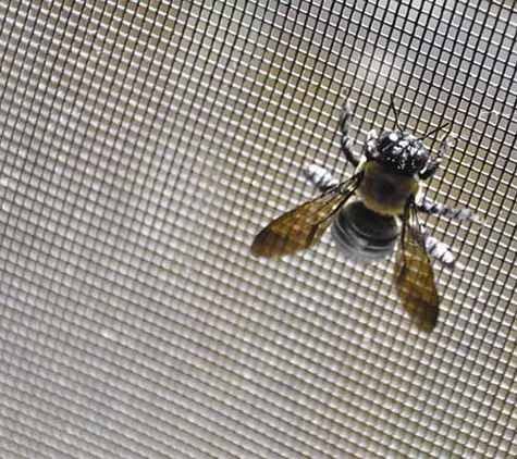 Protector Security Doors & Insect Screens - Erina, NSW
