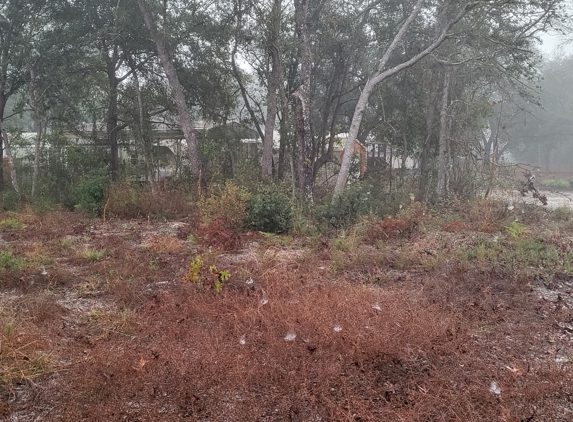 Floridas Tree Masters - Port Orange, FL. trees they didn't cut down at all