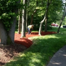 Powell Property Maintenance & Tree Service - Crane Service