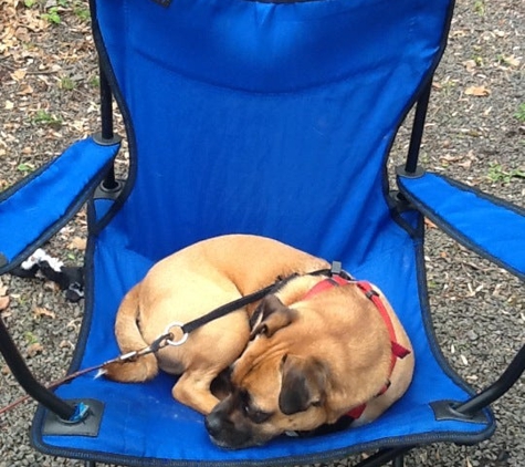 Adventure Bound Campground Oak Creek - Narvon, PA