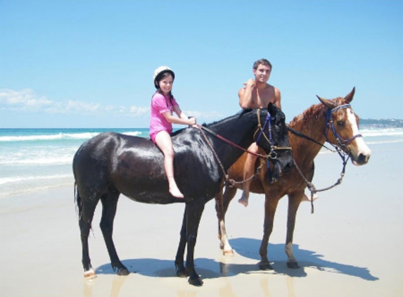 Pegasus Park Equestrian Centre - Binna Burra, NSW