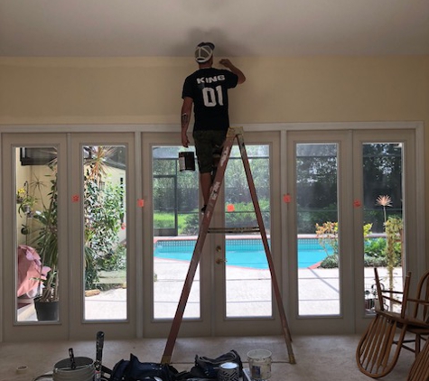 Buck's Professional Painting - Tampa, FL