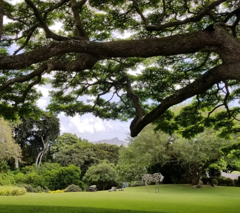 Honolulu Museum-Art Spalding - Honolulu, HI