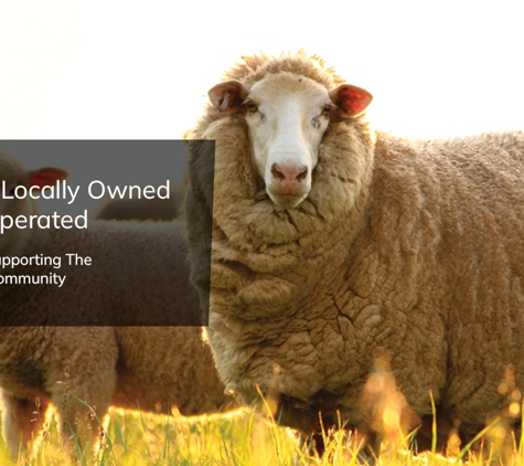 Mega Merch Rural & Pet - Alfredton, VIC. Undercover Drive-Thru for All-Weather Convenience