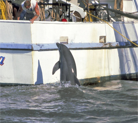 Jekyll Island Boat Tours - Jekyll Island, GA