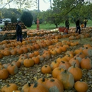 White House Fruit Farm - Fruit & Vegetable Markets