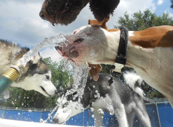 Lucky Dog Boarding, Daycare & Training - Colorado Springs, CO