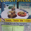 The Conch Shell gallery