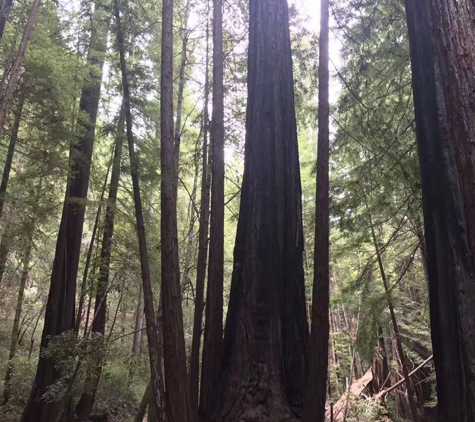 Big Basin Redwoods State Park - Boulder Creek, CA