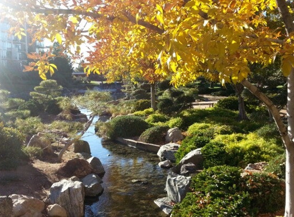 Japanese Friendship Garden - Phoenix, AZ