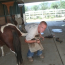 Aarons Natural Balance Horseshoeing - Horse Training