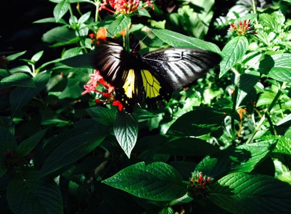 Florida Museum Of Natural History - Gainesville, FL