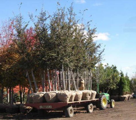 Walnut Creek Nursery - Marengo, IL