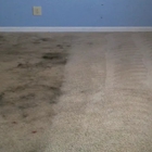 5 Star Carpet Repair And Stretching