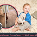 Carpet Cleaner Fresno - Carpet & Rug Cleaners