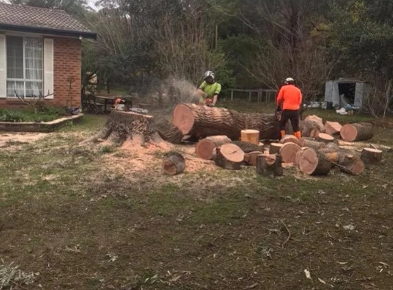 EnviroArb Pty Ltd - Emerald Beach, NSW