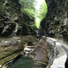 Watkins Glen State Park