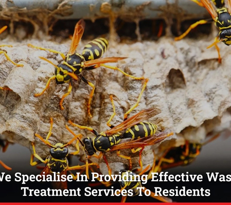 Sterling Pest Control Pty Ltd - Maroota, NSW. We Specialise In Providing Effective Wasp Treatment Services To Residents