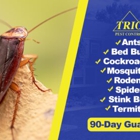 Trio Pest Control