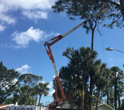 Aardvark Tree Service - Port Orange, FL