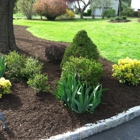 Yuliano Landscaping