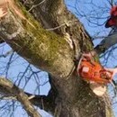 Burt's Tree Service - Tree Service